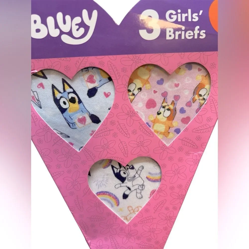 Childrens Character Valentine's Day Underwear Set, Bluey, size 4T - Picture 3 of 5